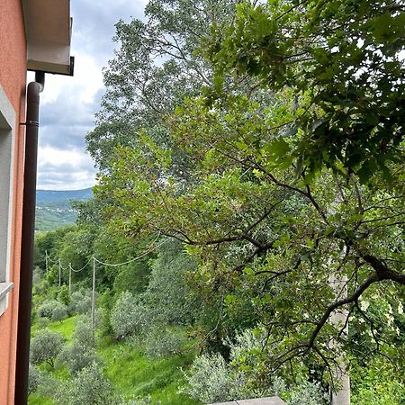 Ai 2 Olmi - Monolocali Nel Verde Múggia Exteriér fotografie