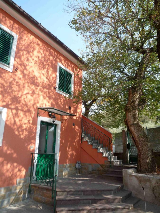 Ai 2 Olmi - Monolocali Nel Verde Múggia Exteriér fotografie