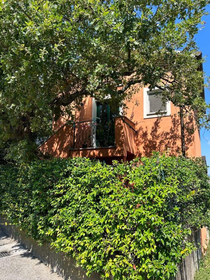 Ai 2 Olmi - Monolocali Nel Verde Múggia Exteriér fotografie