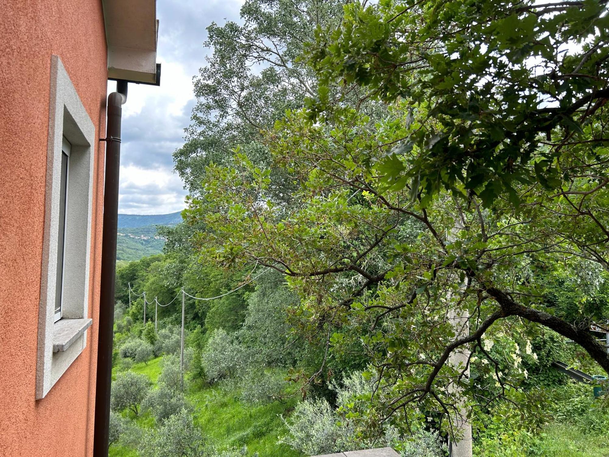Ai 2 Olmi - Monolocali Nel Verde Múggia Exteriér fotografie